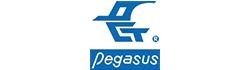 pegasus